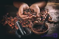 اسانس کاکائو Prova gourmet 1 L