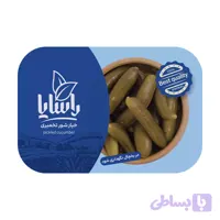 خیارشور تخمیری قایقی