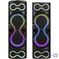اسپیکر خانگی زلموند مدل PANA-Z2210 با دو بلندگوی ۱۰ اینچی