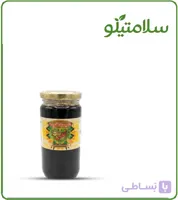 شیره خرما ارگانیک نفس (500 گرمی)