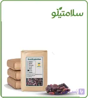 خرما پیارم فله