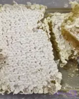 عسل طبیعی کوهستان با موم (خودبافت)