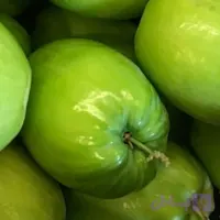 میوه کنار تازه (هندی/پیوندی) (کد FQQID)
