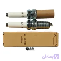 شمع تیگوان و پاسات بوش