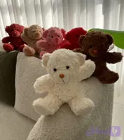 عروسک خرسی