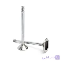 سوپاپ دود و بنزین405