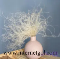 گل دکوری ریش بابا