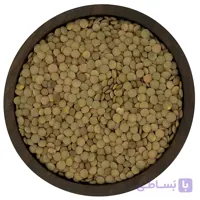 عدس درشت قهوه ای
