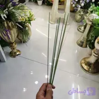 ساقه روکش دار