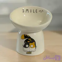 ظرف گربه کد ۲۷
