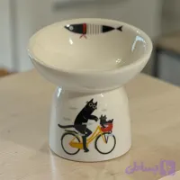 ظرف گربه کد ۳۰