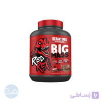 پودر گینر بیگ مس بیگ رامی لبز 2722 گرم | Big Mass Big Ramy Labs | بانک مکمل