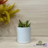 گلدان استوانه ای میکا 103/12.5B