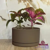گلدان بنسای بلند دهنه 20 سانتی متر (مدل 153/20)