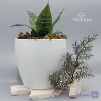 گلدان گرد منحنی 101/20