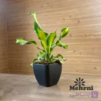 گلدان مربع منحنی 102/15