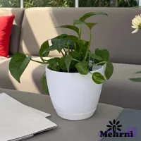 گلدان گرد منحنی میکا 101/12.5