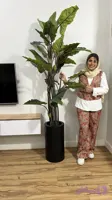 درختچه بابا ادم مصنوعی وارداتی قد ۱۸۰