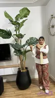 درختچه مصنوعی انجیری تنه ریشه دار قد ۲۳۰