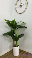 درختچه مصنوعی موز وارداتی سه تنه قد ۱۵۰