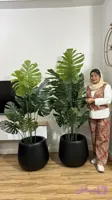 درختچه مصنوعی انجیری وارداتی تنه سبز با قد ۱۹۰