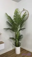 درختچه مصنوعی نخل کنتیا وارداتی ۵تنه با قد ۱۸۰