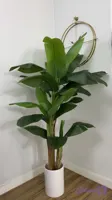 درختچه مصنوعی موز وارداتی ۳تنه قد ۲۲۰