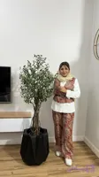درختچه زیتون میوه دارمصنوعی وارداتی