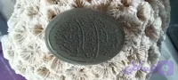 نگین یشم حکاکی ان یکاد