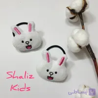 کش مو خرگوش