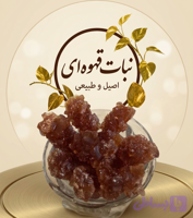 نبات قهوه ای – ۵۰۰ گرم