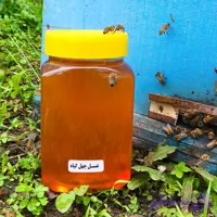 عسل چهل گیاه 1 کیلو گرم