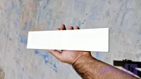 آجرنماسفید‌صدفی