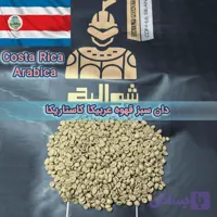 دان سبز قهوه عربیکا کاستاریکا اسکرین 17 | Costa Rica Arabica Green Coffee Beans | شوالیه | بسته ۱۰ کیلوگرمی