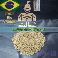 دان سبز قهوه عربیکا برزیل ریو اسکرین 18-17 | Brazil Rio Arabica Green Coffee Beans | شوالیه | بسته ۱۰ کیلوگرمی