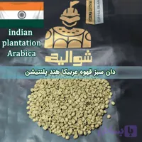 دان سبز قهوه عربیکا هند پلنتیشن | Indian Plantation Arabica Green Coffee Beans | شوالیه | بسته ۱۰ کیلوگرمی