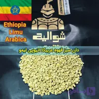 دان سبز قهوه عربیکا اتیوپی لیمو | Ethiopia Limu Arabica Green Coffee Beans | شوالیه | بسته ۱۰ کیلوگرمی