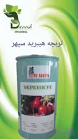 تربچه هیبرید سپهر