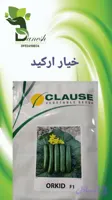 بذر خیار هیبرید ارکید