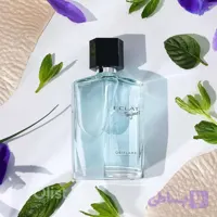 عطر مردانه اکلت توجورس اوریفلیم