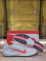 نایک پگاسوس پلاس | کفش رانینگ Nike Pegasus Plus (کد 8E05J)