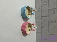 گیف تدی تعیین جنسیت