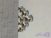 گیفت تدی دندونی وارمر