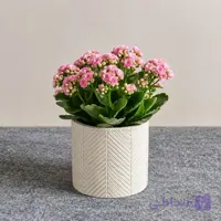 گلدان آراسته