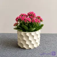 گلدان لونه زنبور
