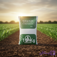 کود سه بیست 20-20-20 آریا شیمی کیسه 10 کیلوگرم