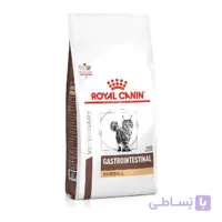 غذای خشک گربه گاسترواینتستینال هیربال رویال کنین ۲ کیلوگرم