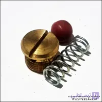 پیچ هدگروپ دستگاه اسپرسوساز خانگی