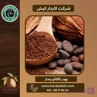پودر کاکائو پندار | 1000 گرم