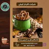 چای ماسالا هل و دارچین بدون شکر پندار | ۱۵۰ گرم